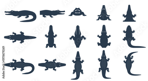 Alligator and Crocodile Silhouette Collection Vector Illustration Set Featuring Various Poses and Top Down Views for Wildlife Design Projects