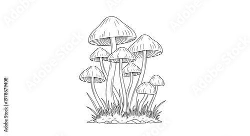 Cluster of wild mushrooms growing from a grassy patch, illustrated in a fine black outline style for woodland nature themes.