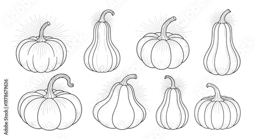 Selection of eight pumpkin and squash varieties is shown in detailed black and white line drawings, perfect for harvest and autumn themes.
