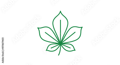 Single horse chestnut leaf with its palmate shape is illustrated in a simple green line drawing for botanical studies or nature art.