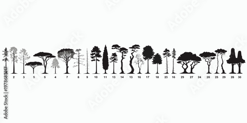 Collection of different tree species silhouettes with botanical illustration tree line silhouette illustration isolated background botanical collection evergreen deciduous