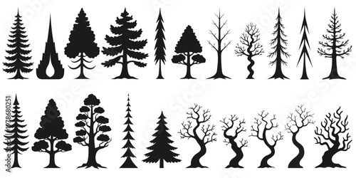 Collection of silhouetted trees evergreen and deciduous varieties tree line silhouette evergreen deciduous woodland isolated seasonal ornamental stylized
