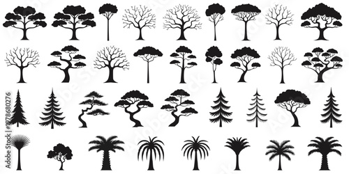 Assortment of stylized tree silhouettes in black and white with palm tree pine tree oak tree maple tree umbrella shape abstract tree design element white background