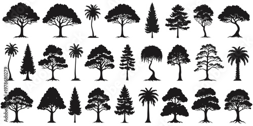 Collection of diverse tree silhouettes isolated on white background with palm tree pine tree oak tree maple tree birch tree willow tree umbrella shape abstract tree