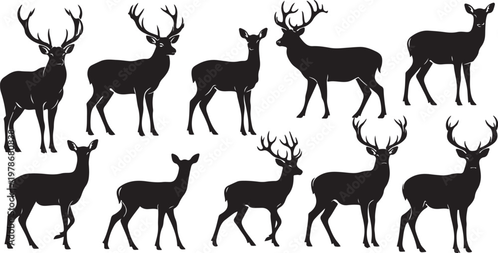 Fototapeta premium Silhouette of deer standing in various poses on white background