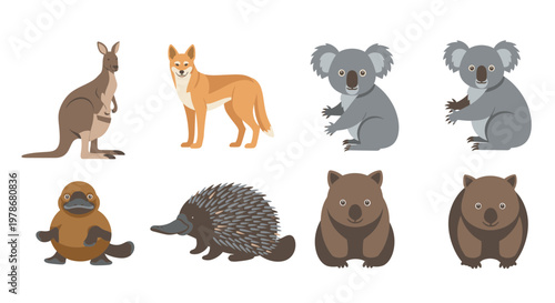 Australian Wildlife Collection Vector Illustration Featuring Kangaroo Dingo Koala Platypus Echidna and Wombat Icons for Educational Design and Nature Projects