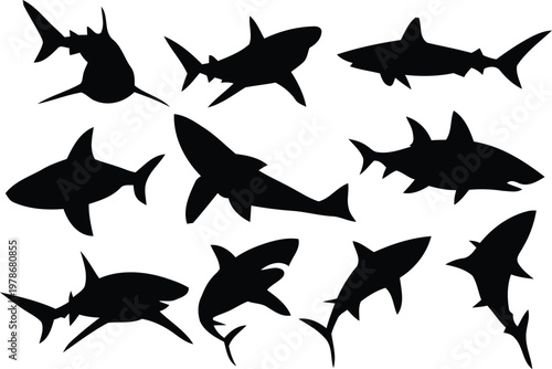 Shark and Fish Silhouettes in Ocean Vector Collection