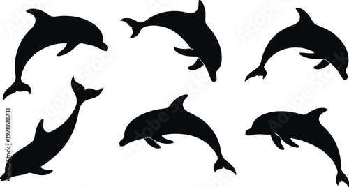 A simple black silhouette vector set of dolphins swimming in the ocean with other aquatic animals in an underwater nature scene