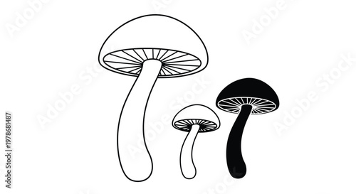 Collection of three mushroom illustrations featuring simple line art and a solid black silhouette on a white background.
