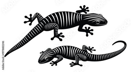Detailed illustrations of two striped lizards or geckos showing one in silhouette and another with intricate white line patterns.