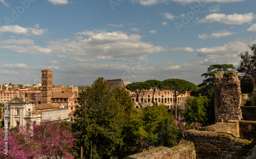 Scenic panoramic aerial vista of Forum and Coliseum in Rome in springtime viewed from Palatine Hill, Italy	