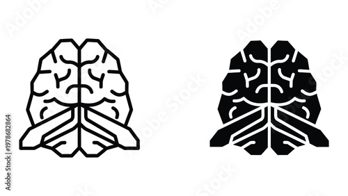 Comparison of brain hemispheres with different visual styles for neurological study
