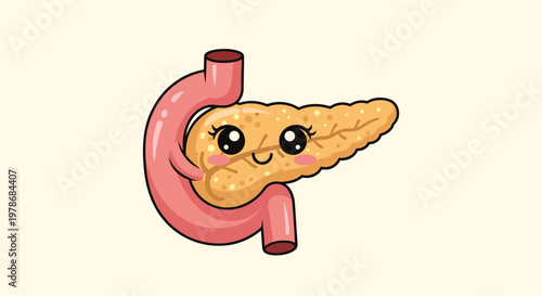 Cute cartoon pancreas organ character with a happy face hugging a pink stomach, friendly medical education illustration for kids.