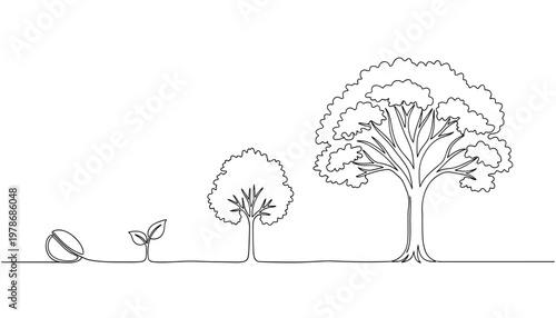 Vector continuous line drawing of a tree growth stages from seed to mature tree