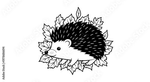 A cute hedgehog curled up in leaves.