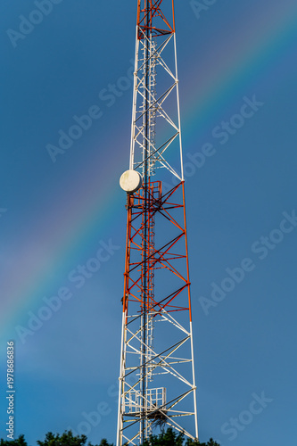 Wild Bird in Natural Environment