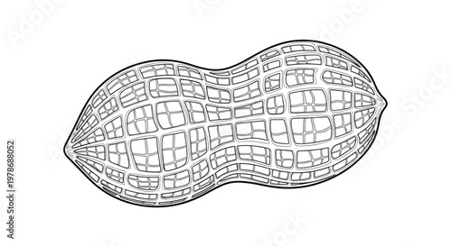 Detailed black and white line art illustration of a whole peanut shell showing the textured surface and characteristic double-lobed shape.
