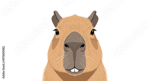 Symmetrical close-up portrait of a capybara face looking directly forward with a calm, curious, and peaceful expression.