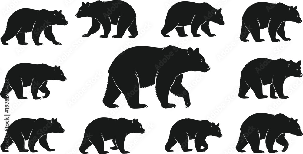 Obraz premium Black Bear Silhouette Collection with Multiple Walking Poses Wildlife Animal Vector Illustration for Nature, Forest, Hunting, and Outdoor Design Projects.