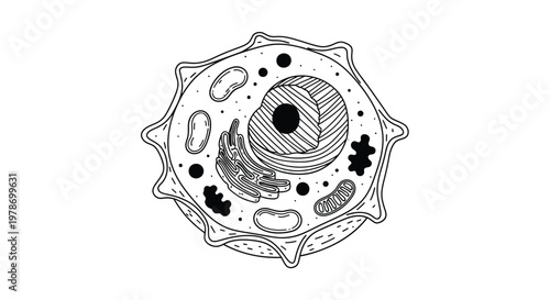 Detailed illustration of a eukaryotic animal cell showcasing its various organelles and internal structures