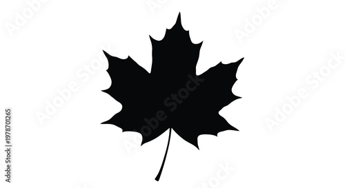 Simple silhouette of a maple leaf against a stark white background