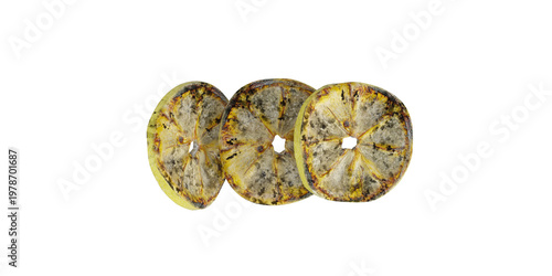 Grilled Lemon Slice Texture