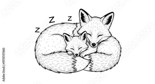 Beautiful black and white line art illustration of a mother fox and her cub sleeping curled up together in a cozy nest.