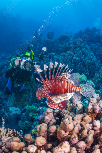 Underwater photographer taking a close-up photo of a Lionfish over a coral reef in the Red Sea.