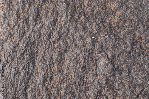 Wallpaper Mural Rustic volcanic stone texture background for design architecture and games Torontodigital.ca