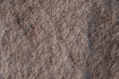 Wallpaper Mural Rustic volcanic stone texture background for design architecture and games Torontodigital.ca