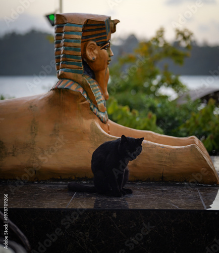 Black Cat Resting Beside Egyptian Sphinx Statue Outdoor