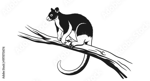 Black and white illustration of a quokka sitting on a tree branch