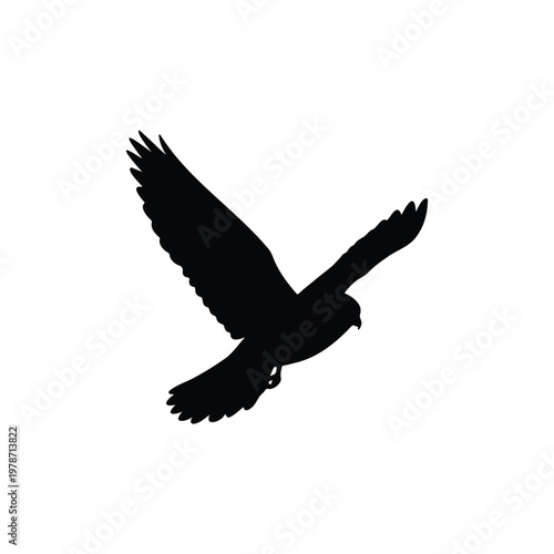 kestrel bird silhouette vector flat design on white background.