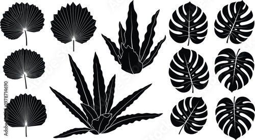 Tropical leaf silhouettes, monstera deliciosa foliage, exotic jungle plant icons, botanical nature collection, summer garden elements, floral vector shapes, greenery decorative set,