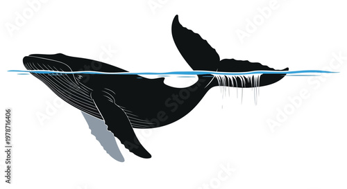 Black whale swimming under water surface with tail fin up