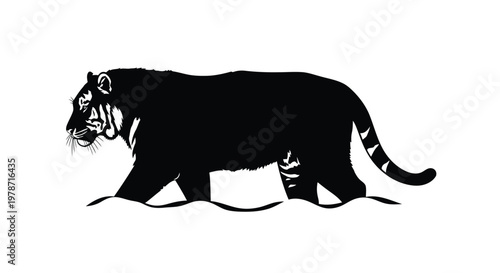 Black silhouette of a tiger walking