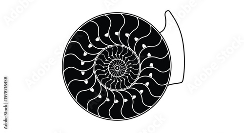 Black and white illustration of a nautilus shell with spiral design