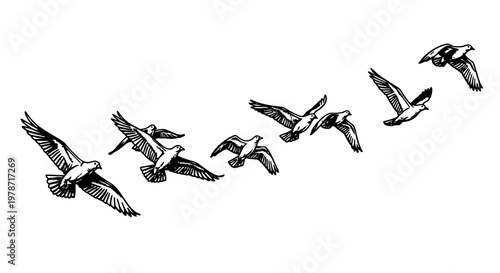 Flock of Birds Flying Gracefully Across White Background