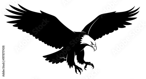 Bald Eagle Illustration Fierce Flight Silhouette with Sharp Talons Landing