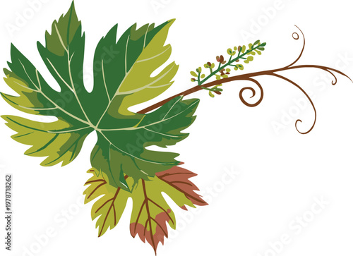 Grapevine sprout with developing tendrils and leaves in vibrant green hues during spring