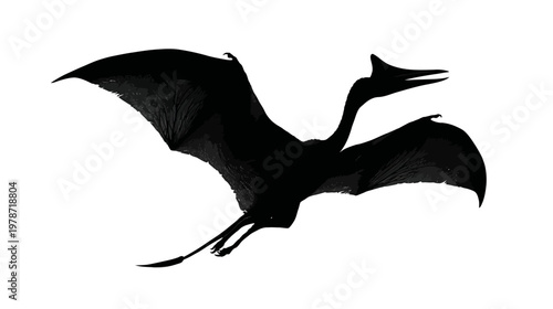Silhouette of a Flying Pterodactyl with Wings Fully Spread in Prehistoric Sky