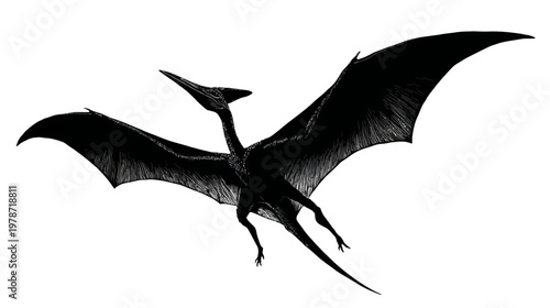 Silhouette of a Flying Pterodactyl with Wings Fully Spread in Prehistoric Sky