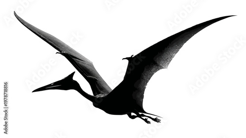 Silhouette of a Flying Pterodactyl with Wings Fully Spread in Prehistoric Sky