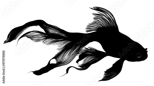 Silhouette of a Goldfish with Flowing Fins and Tail Side View in Aquatic Illustration