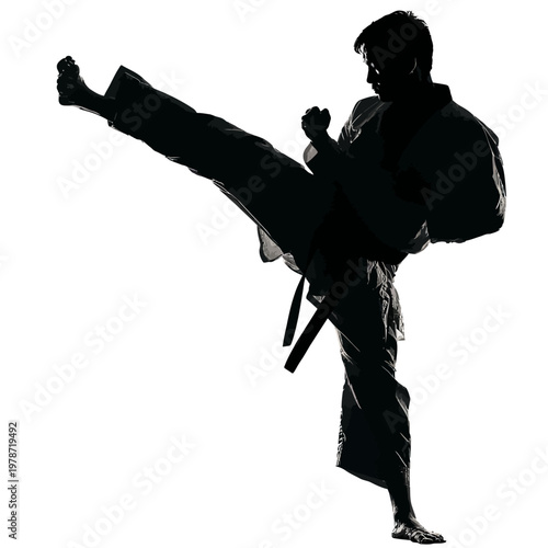 Silhouette of a Martial Artist Performing a High Kick in Dynamic Combat Pose