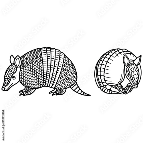 Black‑and‑White Line Drawings of Armadillos Standing and Curled in Defensive Posture