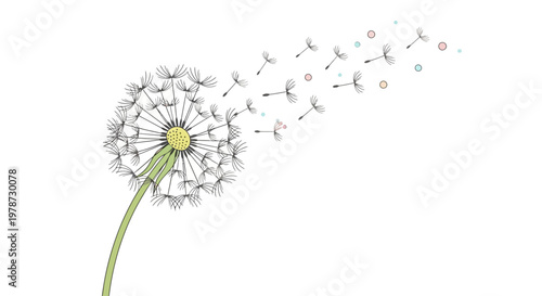 Dandelion Flower Seeds Blowing Away.