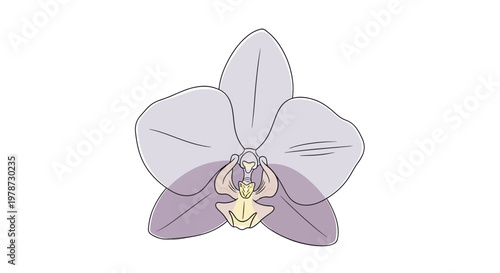 Detailed illustration of purple orchid flower.