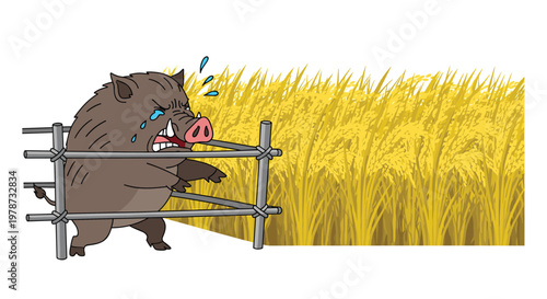 Angry wild boar with tears in its eyes stands behind a sturdy wooden fence looking longingly at a ripe field of golden rice.