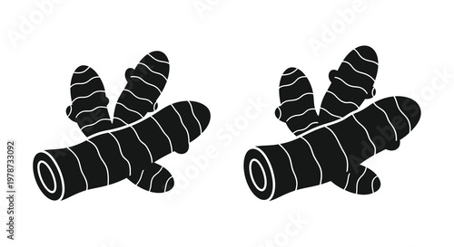 Black and white illustration of two turmeric root pieces